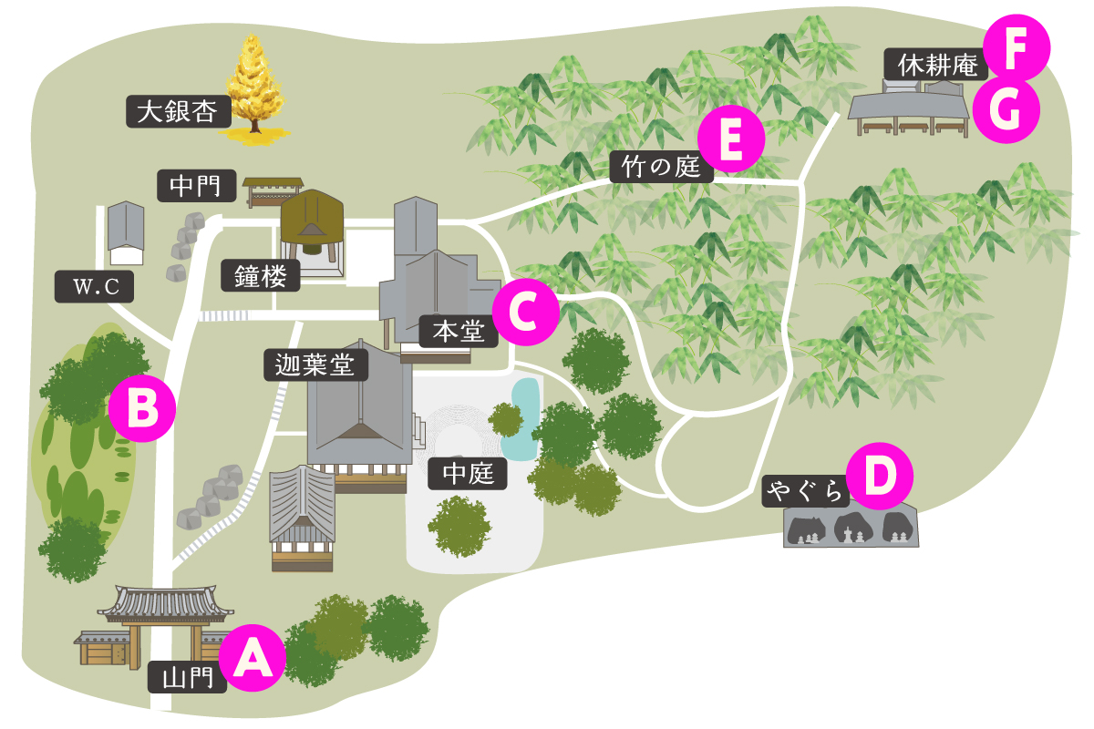 報国寺 境内MAP