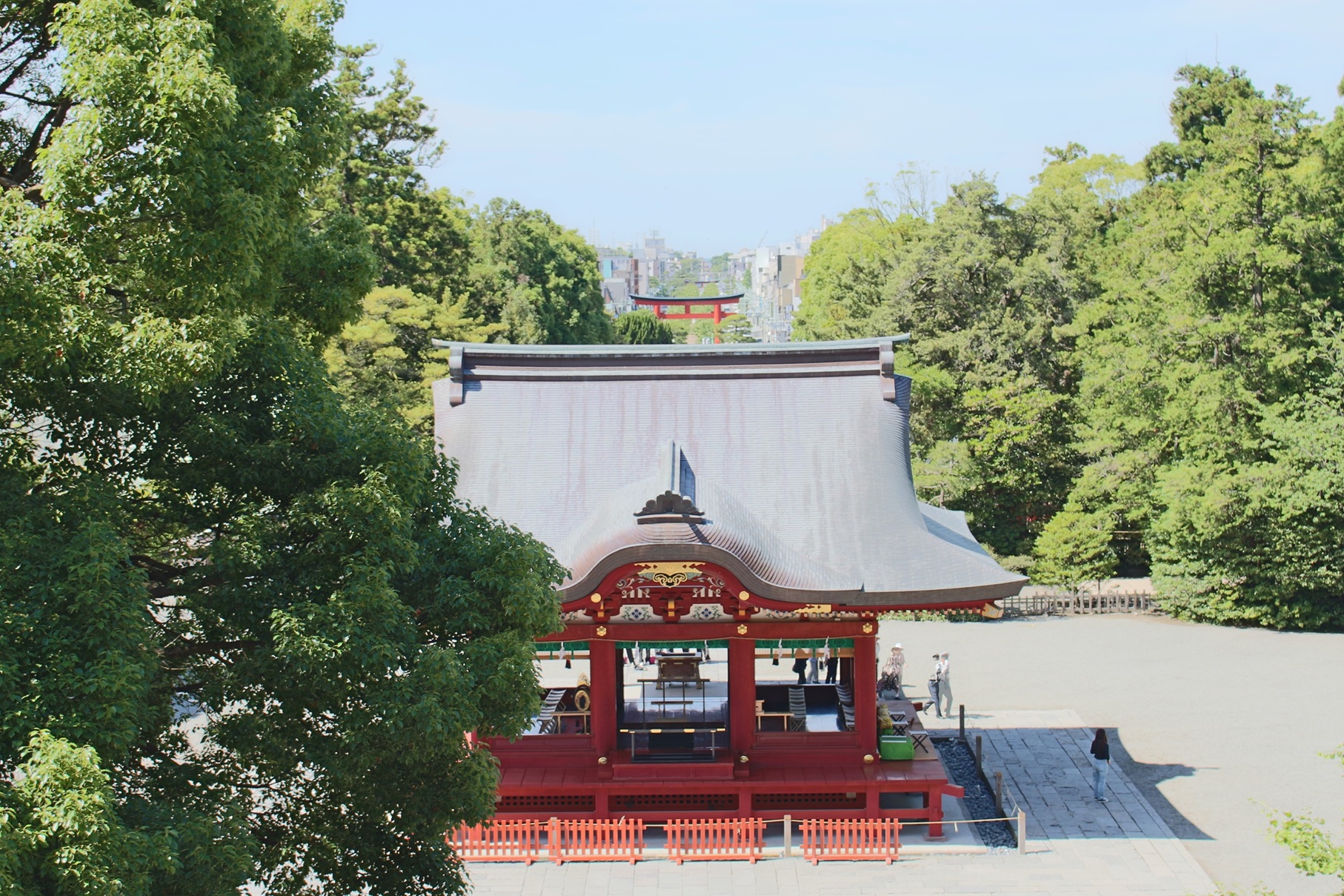 鶴岡八幡宮 3