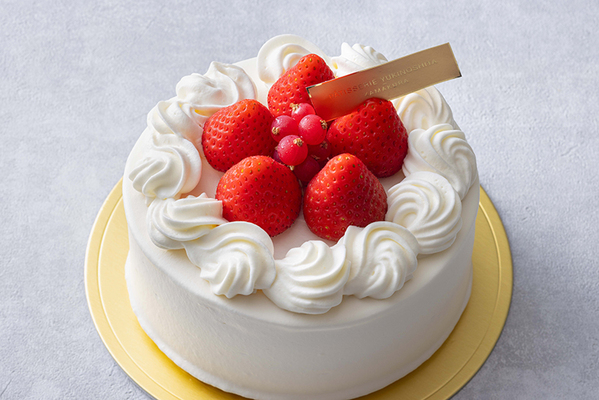 鎌倉　観光　記念日　アニバーサリー　フラワー　ケーキ　シャンパン　お祝い