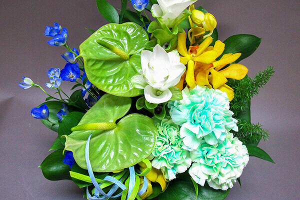 鎌倉　観光　記念日　アニバーサリー　フラワー　ケーキ　シャンパン　お祝い