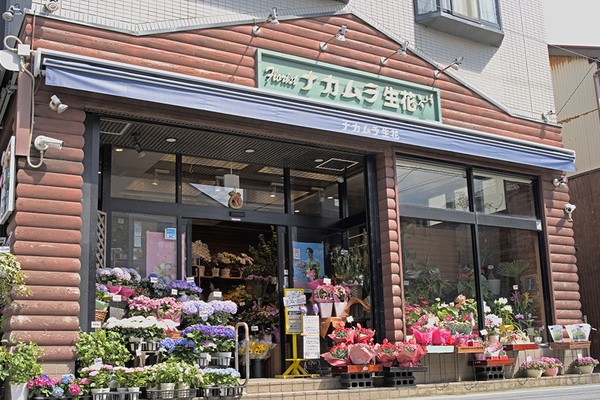 鎌倉　観光　記念日　アニバーサリー　フラワー　ケーキ　シャンパン　お祝い