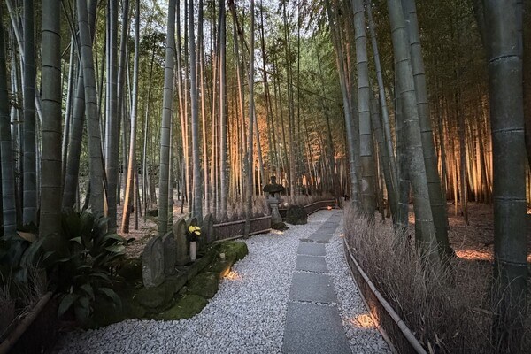 鎌倉 ホテル 観光 報国寺 竹寺 夜 ナイトイベント 拝観