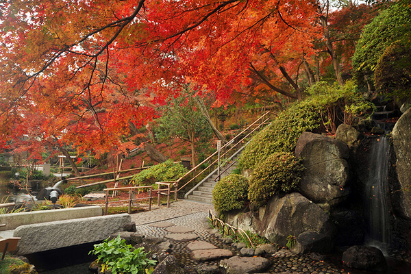 長谷寺 花の寺 紅葉　鎌倉　ホテル