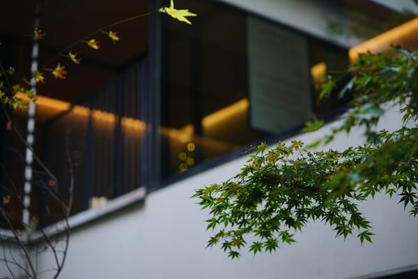 鎌倉　ホテル　観光　デイユース　日帰り　ビジネス