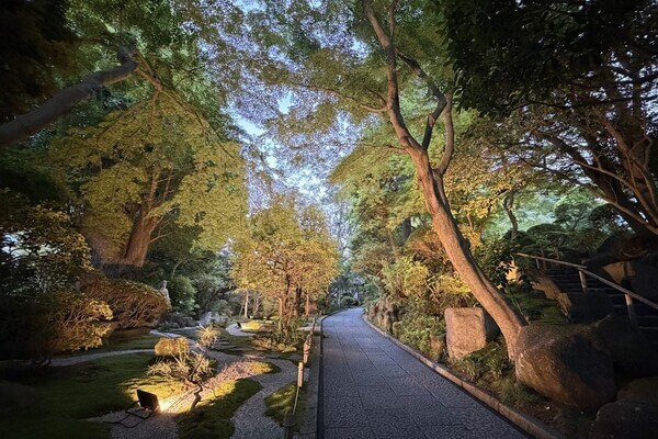 鎌倉　ホテル　観光　報国寺　竹寺　夜　ナイトイベント　拝観