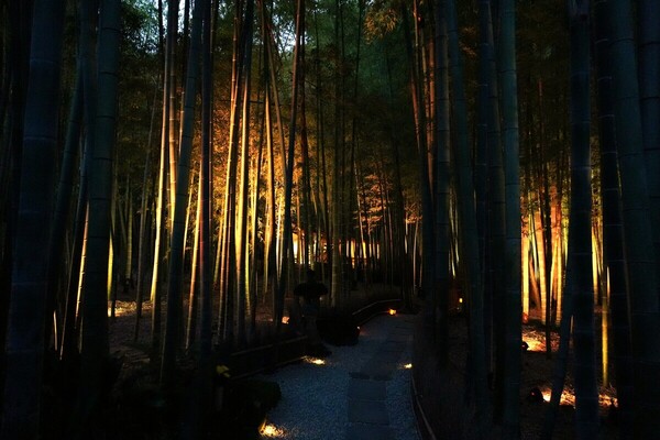 鎌倉　ホテル　観光　報国寺　竹寺　夜　ナイトイベント　拝観