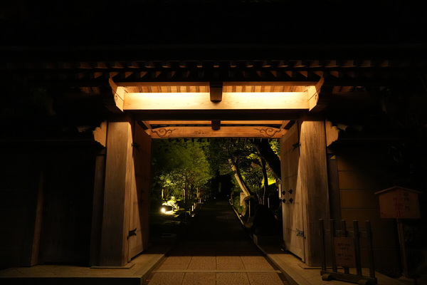 鎌倉　ホテル　観光　報国寺　竹寺　夜　ナイトイベント　拝観