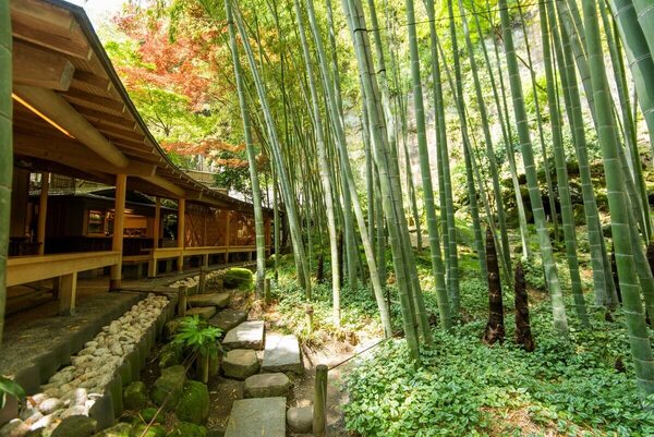鎌倉 ホテル 観光 報国寺 竹寺 夜 ナイトイベント 拝観