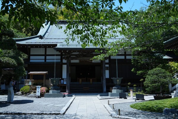 鎌倉　ホテル　観光　報国寺　竹寺　夜　ナイトイベント　拝観