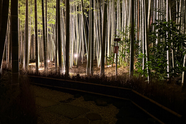 鎌倉　ホテル　観光　報国寺　竹寺　夜　ナイトイベント　拝観