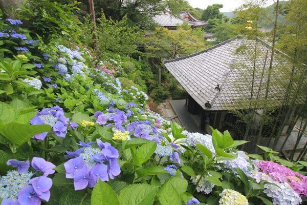 鎌倉　ホテル　観光　長谷寺　拝観券