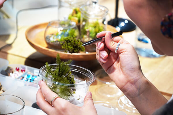 鎌倉　ホテル　観光　体験　苔　アート