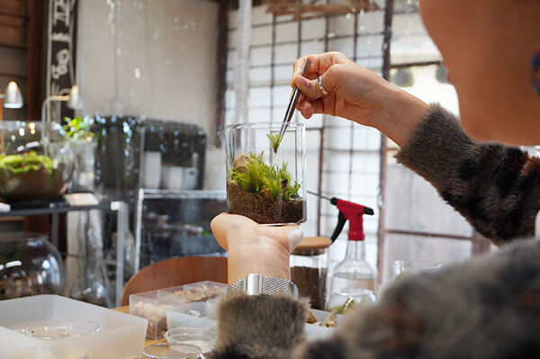 鎌倉　ホテル　観光　体験　苔　アート