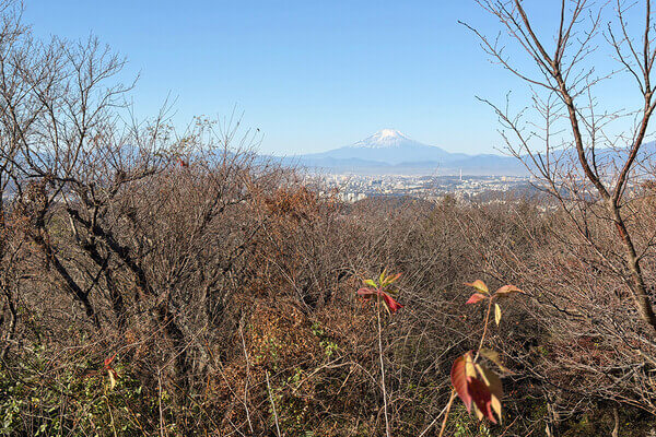 鎌倉　ホテル　チャリティー　寄付　サステナブル　SDGs　オリジナルグッズ　開業記念