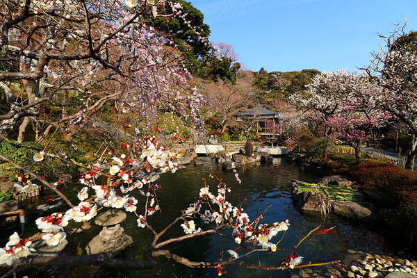 鎌倉　ホテル　観光　長谷寺　拝観券